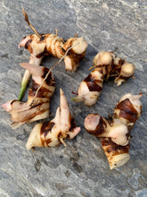 Load image into Gallery viewer, 2 Organic Galangal Rhizomes