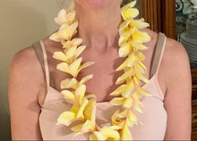 Load image into Gallery viewer, 1 Organic Plumeria Cutting Lei Flowers Temple tree Frangipani • Easy to Grow Your Own in Garden or Container