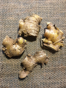 2 Organic Shampoo Ginger Rhizomes Awapuhi Pinecone Ginger Zingiber Zerumbet • Easy To Grow Flowering Medicinal Perennial Garden or Container