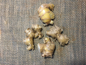 2 Shampoo Ginger Rhizomes Awapuhi Pinecone Ginger Zingiber Zerumbet • Organic Easy To Grow Flowering Medicinal Perennial Garden or Container